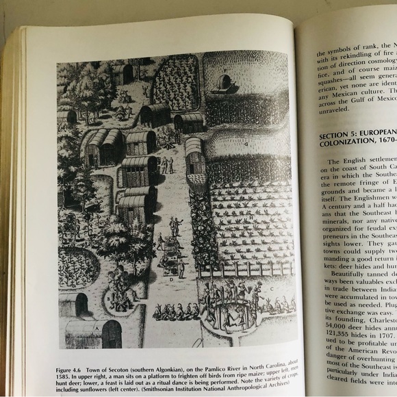 North American Indians: A Comprehensive Account by Alice Beck Kehoe - Picture 11 of 13